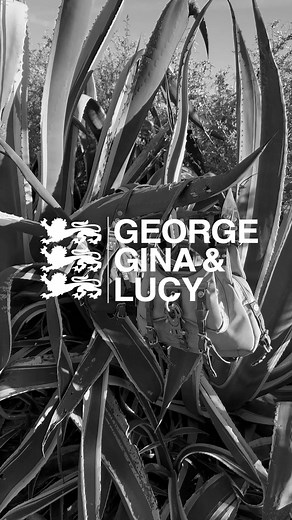 George Gina Lucy: Exploring the Stylish Bag Collection