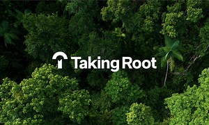Taking Root