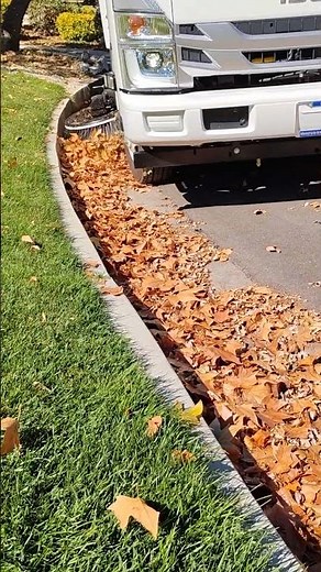 How do you sweep leaves? We use a TYMCO!