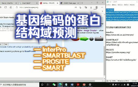 基因所编码的蛋白质结构域的预测 InterPro/SMARTBLAST/PROSITE/SMART