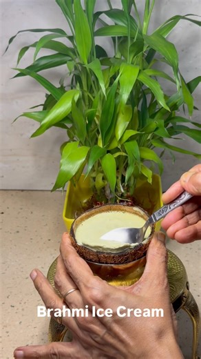 Brahmi Ice Cream ( Full Recipe is in Comment Section )