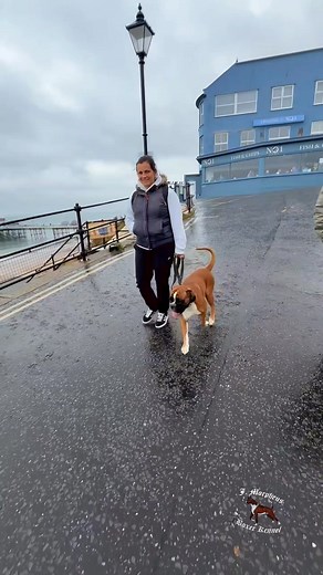 3.4K reactions · 82 shares | It was a rest day 律instead of training,...