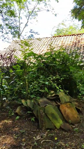 Setiap syuting pasti selalu ada gangguan, 🤣🌿