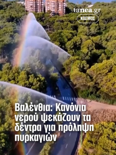 🔥 Η Βαλένθια λαμβάνει έκτακτα μέτρα προστασίας απέναντι στον αυξημένο κίνδυνο δασικών πυρκαγιών, ενεργοποιώντας ειδικά κανόνια νερού στο φυσικό πάρκο Αλμπουφέρα. 💧 Οι εγκαταστάσεις ψεκάζουν τις κορυφές των δέντρων, δημιουργώντας υγρές ζώνες που μπορούν να περιορίσουν την εξάπλωση μιας πιθανής φωτιάς. 🌡️ Με τις θερμοκρασίες να φτάνουν έως και τους 41 βαθμούς Κελσίου, οι αρχές της περιοχής βρίσκονται σε αυξημένη ετοιμότητα για την αντιμετώπιση του κινδύνου. #valencia #fire #water #news #tanea