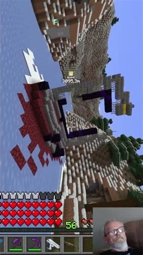 Flying Bliss #minecraft #minecraftmods #minecraftshorts