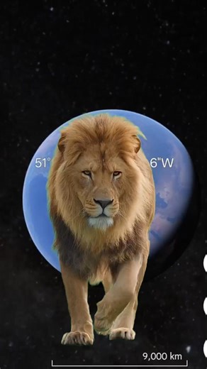i found geant google lion 🦁 in photo on Google maps @GoogleEarthfinder #lionhead #lionlove