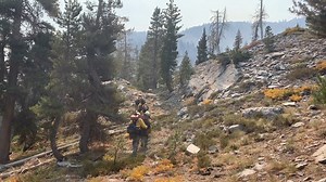 22K views · 465 reactions | Not all areas of a wildfire can be...