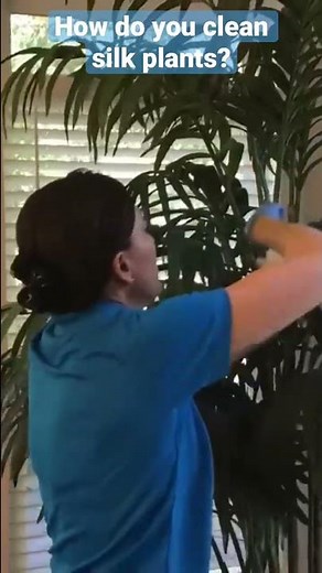 How Do You Dust Silk Plants? Pro Cleaning Tip #shorts
