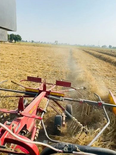 new holland rake (ਧੂੜਾ ਪੱਟ)🌪️🌪️