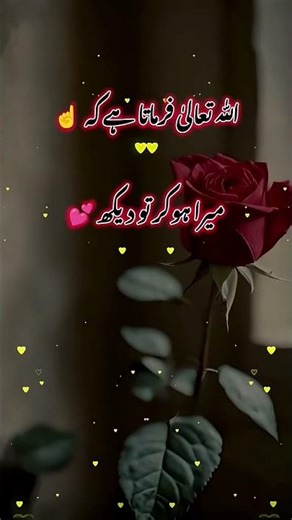 2 दिसंबर 2025