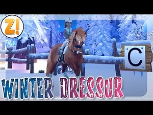 DRESSUR im WINTERDORF! 🐴 STAR STABLE [SSO NEWS]