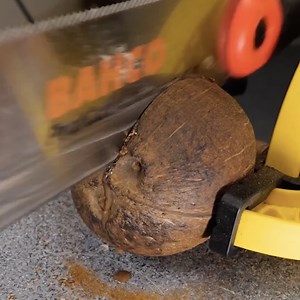 3.3K views · 24 reactions | Gorgeous Bags Crafted From Coconut Shell | 5-Minute Crafts SHORTS | Facebook