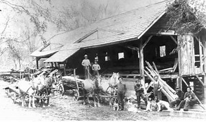 Pine Tree Riot - Alchetron, The Free Social Encyclopedia