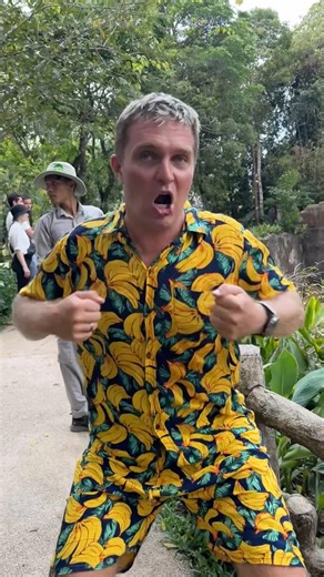 Does he look like king kong?🦍 #crazykozak #animalshorts #animalsvideo #animalsounds #newanimal #usa