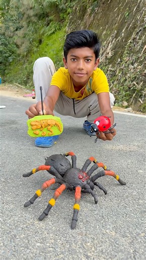 RC Makdi Vs Ladybird 🐞| Scary Real reaction 😱