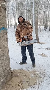 #lumberjacklife #woodworking #timber #forest #sawdust #axeman #logcabin #outdoorsman #woodchopping #treefelling #hardwood #woodsmen #lumberjackstyle #woodgrain #woodpile | LumberJack Zu