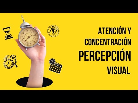 Atención y Concentración Percepción Visual