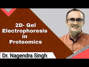 2D Gel Electrophoresis| Principle & Limitations | 2 Dimensional Gel Electrophoresis | 2DGE | PENS#89