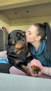 Beautiful Rottweiler loves her gorgeous momma 😍🥰 #Shorts #rottweiler #dogs Credits to @thenicegirlx | Rottweiler Life