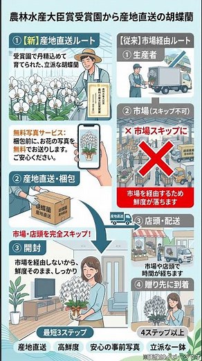 【長持ちする胡蝶蘭】届いてすぐ枯れるのを防ぐ！産地直送のお祝い花選び