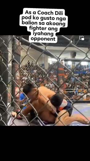 As a Coach Dili pod ko gusto nga balion sa akoang fighter ang iyahang opponent #mmafight #sharkmanking #fypシ゚viralシ2024fyp #reelsviralfb #highlightsシ゚ #viewers #80thbirthday #highlights "SharkMan King" Noelkeith Castillano #Team #batangpantukanjjamma GYM Avenue #Ccrosbyjiujitsu #coachkuyajumong @highlight | Jojet LittleBebiano Cifra Baliente