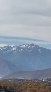 Did You Know Algae is a Plant?! Did you realize that having some algae in a pond is actually a sign of a successful ecosystem? In fact Ponds that can’t support a healthy colony of algae lack the necessary biofilm an ecosystem requires to perform properly. However, with any ecosystem balance is key! My current pond sits at 6,000 feet with zero shade. Do you know how intense the suns rays are at that elevation?! Fortunately I’ve been able to keep my string algae in check because of two factors… Fi