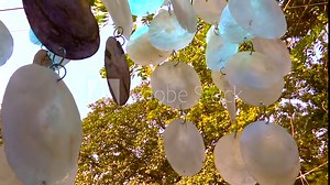 Shells of mother of pearl hanging in the Indian market