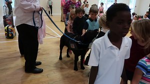 This holiday, get a Bridge Names Amos for a child in your life! Order yours today: https://www.sweetheartsandheroes.com/abna #Education #hope #action #Amos | Sweethearts and Heroes