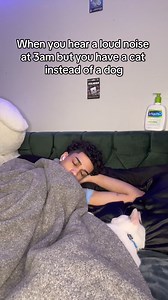 5M views · 185K reactions | Go do sum1 #explore #cats #dog #animals | Brian Tiktok | Facebook