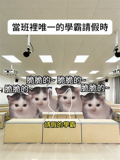 【😺CatDramaCorner】當班裡唯一的學霸請假時 #cat #貓meme小劇場 #00後 #shorts #shortvideo #funny cat videos