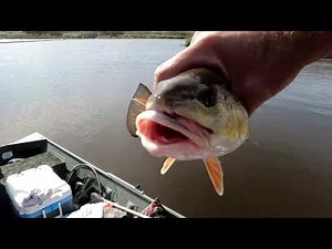 Red Fish Round-Up! Keith Gets a Beatdown!