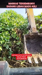 685K views · 3.3K reactions | Bahaya rumput kacangan jadi markas persembunyian sarang lebah madu #excavator #markas #persembunyian #sarang #lebah_madu #alat_berat | Sendy excavator mini | Facebook