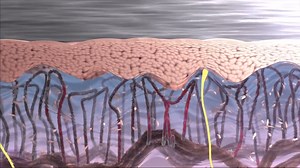 What is Phototherapy_Lifewave