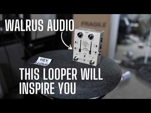 So Walrus Audio Made a Looper! Introducing the XERO Poly Looper - STEREO MIDI and MORE