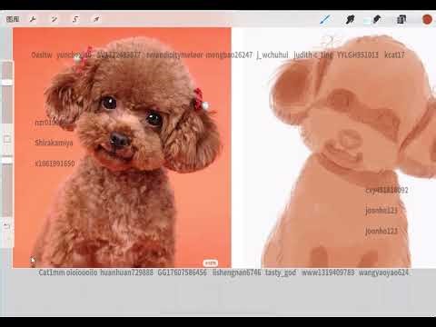 LICHI CHAN | Digital Art, Portraits & Speedpaint | 02. 可爱的小泰迪（上色）Lên màu bản thảo chó poodle