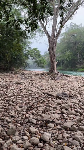 116K views · 4.1K reactions | Hermoso río muy limpio | Pesca y Aventura | Facebook