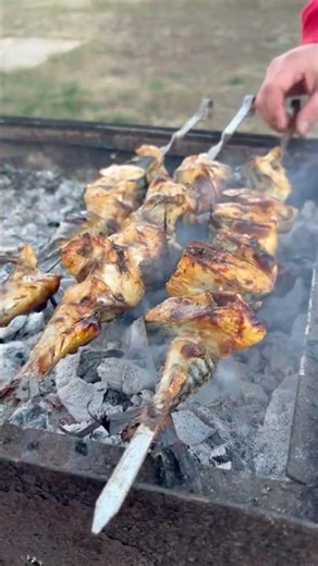 Cum se transformă un simplu macrou într-o explozie de arome la grătar?#AventuriCuNoi #MacrouLaGratar