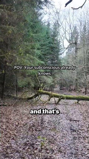 Dowsing - the scientific mystery that could prove subconscious Gnosis