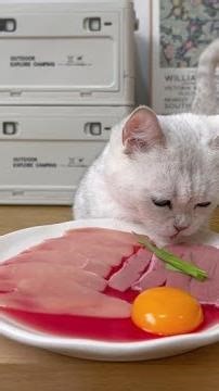 Mimi's Restaurant is ready, the cat has arrived!