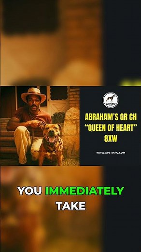 Tactical Genius: How Queen of Hearts Neutralized Opponents | APBT Game Dog History