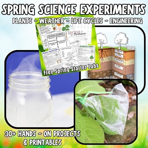 Spring Science Activities for Kids (Easy Spring STEM Experiments)