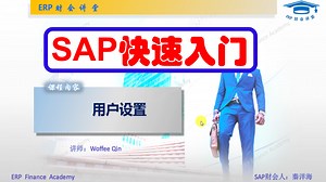 SAP快速入门 之 SAP基础操作