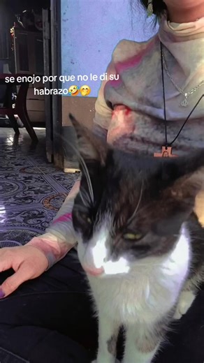 Videos de Adelaida Días (@adelaida.unity.play.2009) con “original sound - 66”