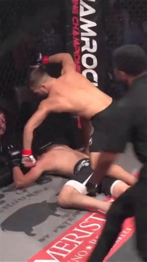 NO NONSENSE Predator Catching UNLIKE Skeeter Jean, JiDion & Alex Rosen | MMA NEWS #shorts #tuf #ufc