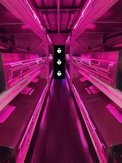 WE’RE LIVE — 48H 🎉 Add to Wishlist Orders Start NOW!Members:Go to the Market → choose from the 6 items in the Add to Wishlist Event at the top of the page → click “Add to Cart” → select a creator → repeat as many times as you want Once you’ve added everything, proceed to checkout. https://t.co/6hm1Npx8Ih Right after checkout, instantly get all the rewards below in your MV Wallet: 💸 100% Cash Back 💵 +$20 USD Bonus🪙 +100 FREE Tokens Your favorite MV Stars will be so happy! 😎The next Add to Wi