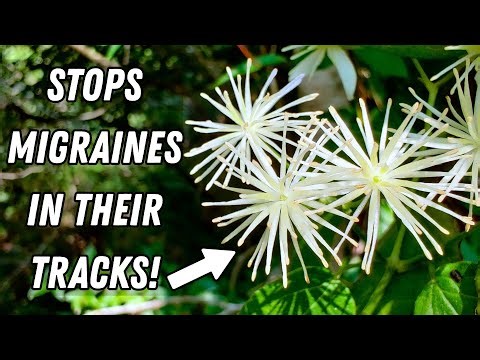 The Natural Migraine Remedy Your Doctor Doesn't Know About