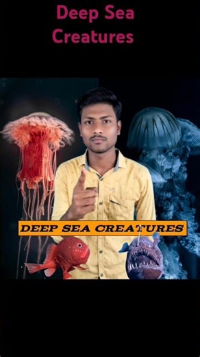 Why are deep sea creatures only red and black colours? | Mystery of Deep Sea | Science Galaxy .