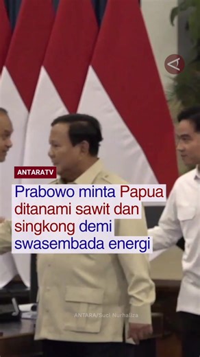 Presiden Prabowo Subianto, Selasa (16/12), meminta kepala daerah di wilayah Papua untuk mengembangkan sawit, tebu, dan singkong. Jelasnya, sumber daya lokal tersebut dapat mewujudkan swasembada energi dan memangkas biaya impor BBM yang mencapai Rp520 triliun per tahun. Simak berita terkini dan program-program menarik Antara TV di youtube Antara TV Indonesia dan antaranews.com/video! #presidenprabowo #wilayahpapua #papua #sumberdaya #beritaterkini