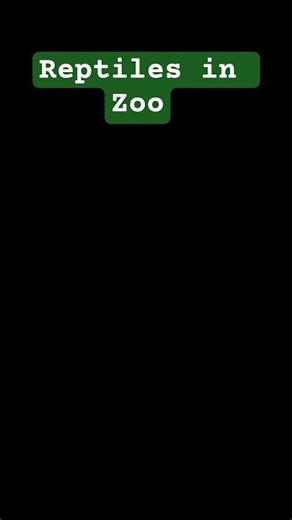 Reptiles in Indira Gandhi Zoological park | python