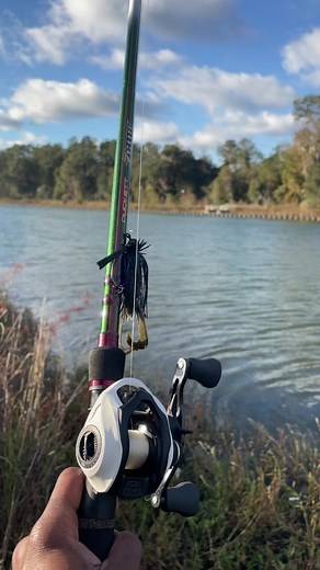 3.9K views · 131 reactions | Rod: Duckett Fishing MH Zeus Reel:...